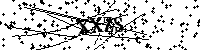 Por favor, escriba las letras y los números siguientes