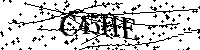 Veuillez saisir les lettres et les chiffres ci-dessous