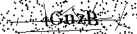 Por favor, escriba las letras y los números siguientes