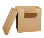 Scatole container in cartone
